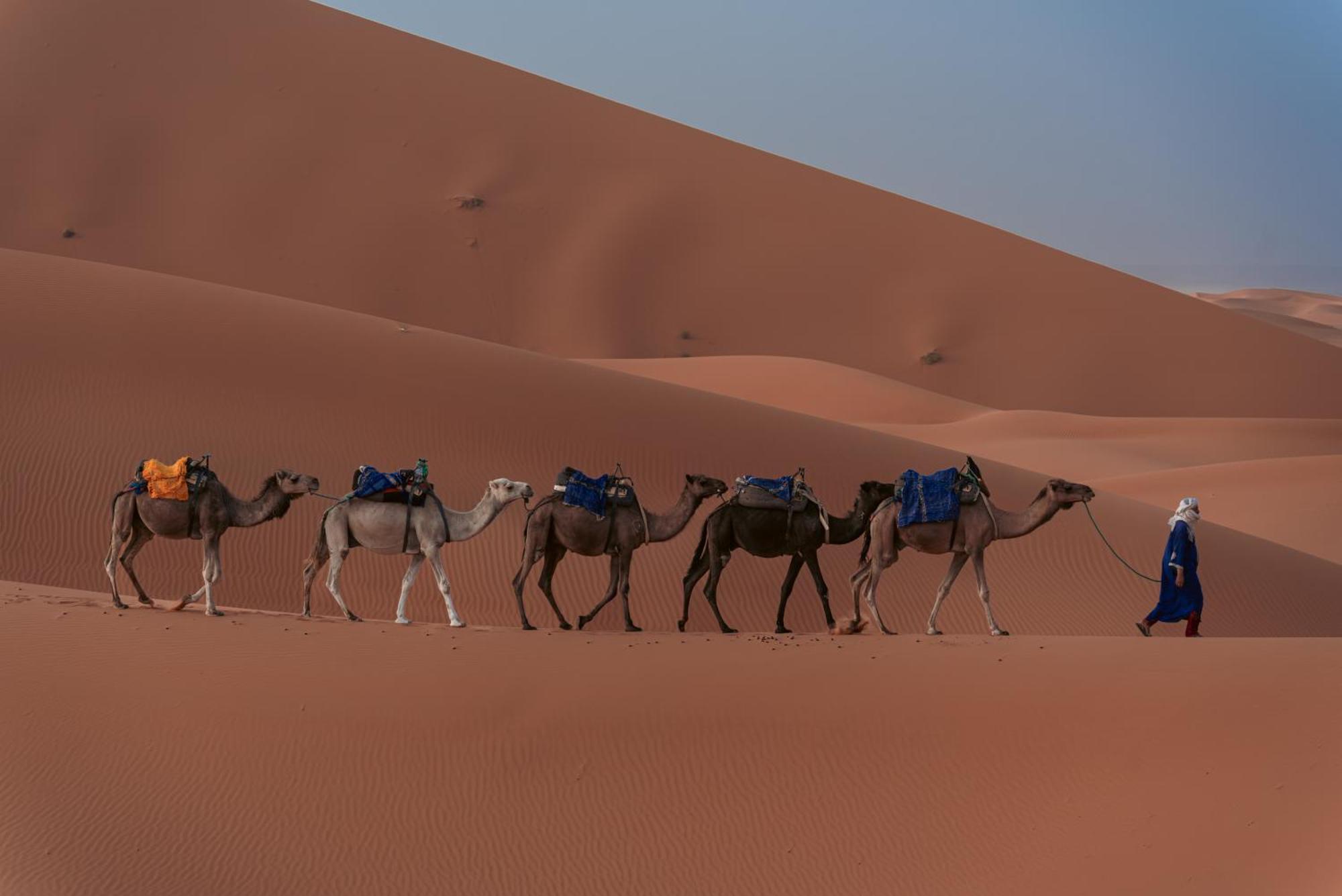 Sahara Dream Luxury Camp 호텔 메르주가 외부 사진