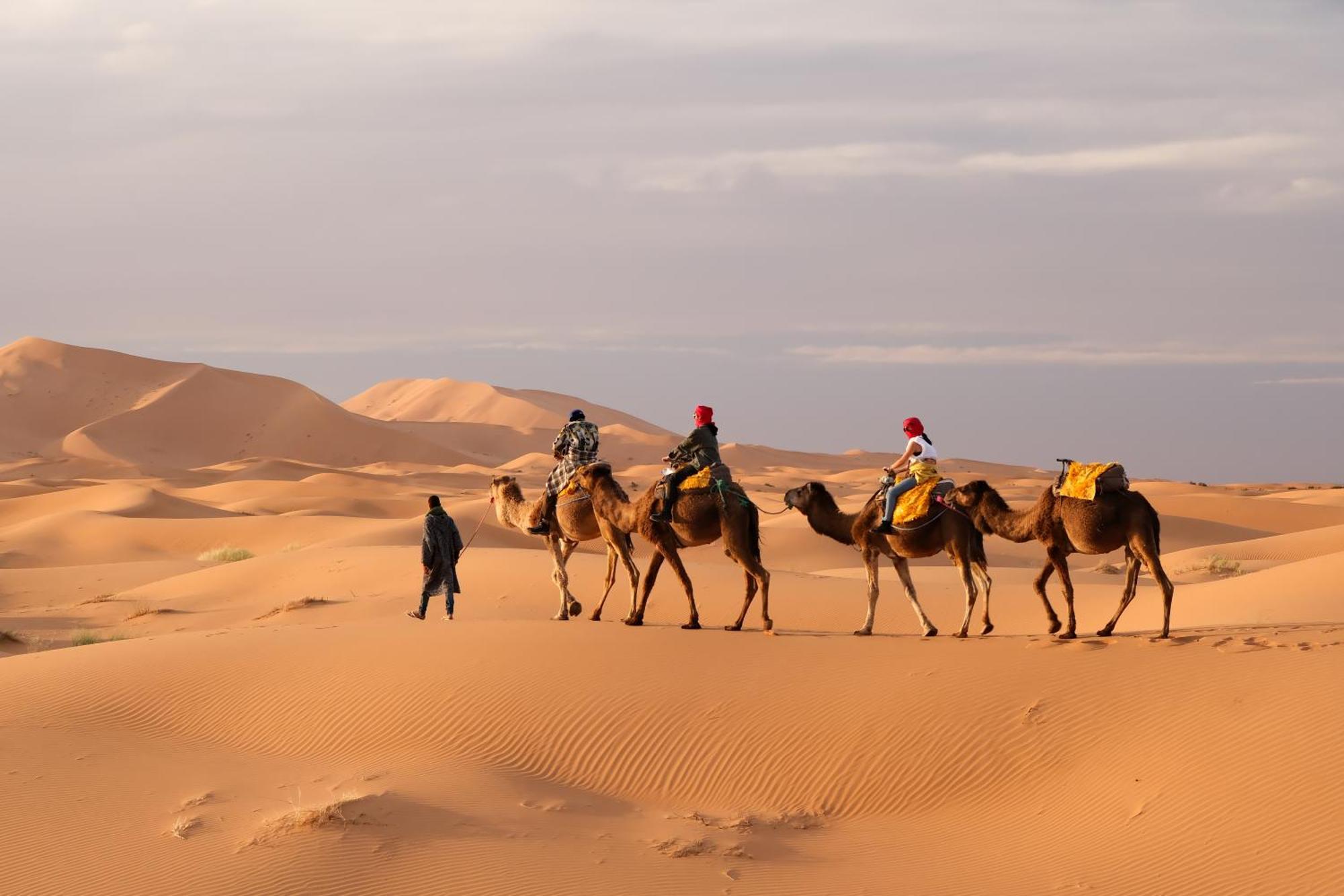 Sahara Dream Luxury Camp 호텔 메르주가 외부 사진