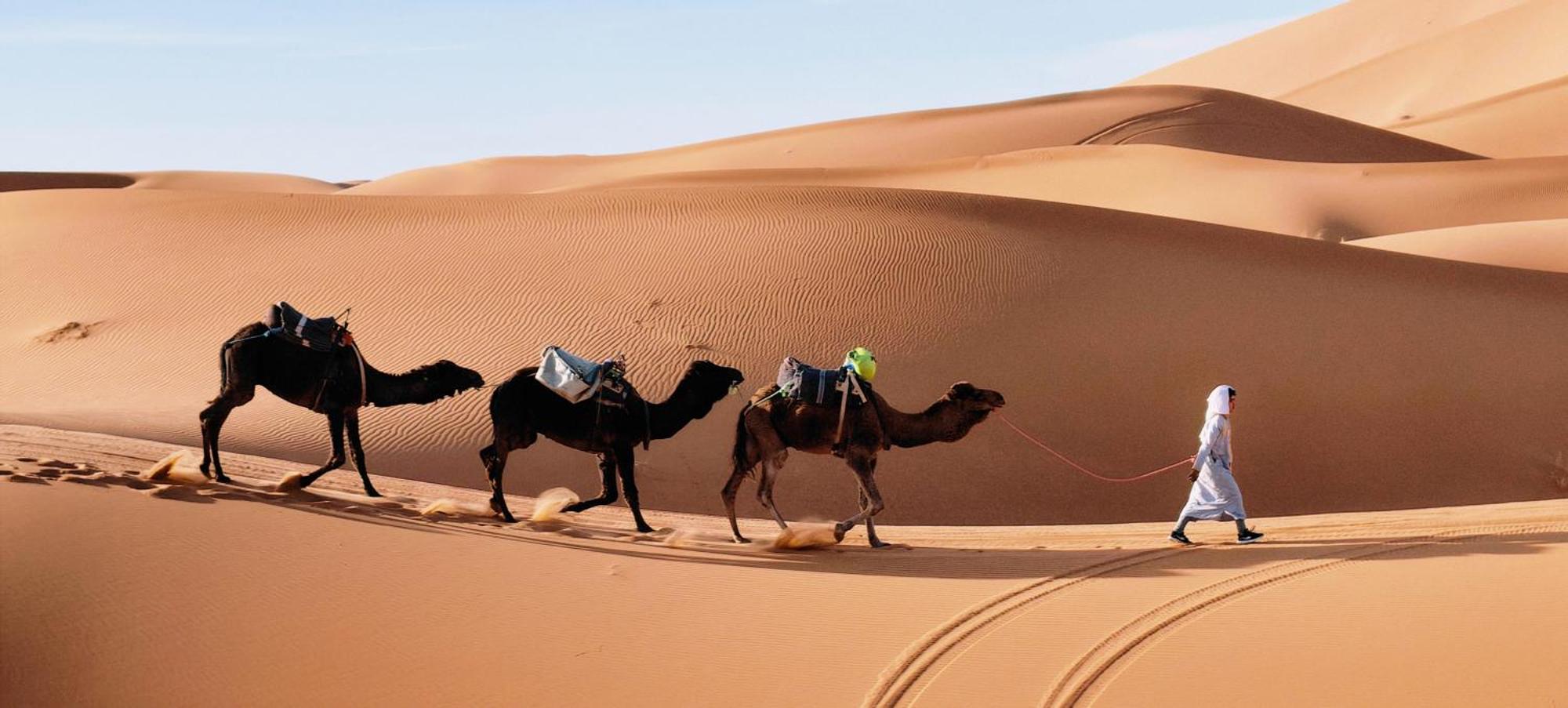 Sahara Dream Luxury Camp 호텔 메르주가 외부 사진